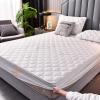 FCLDESHOP Breathable Mattress Pad Cover,Thick Cotton Quilted Fitted Bed Sheets,Solid Color Non-Slip Comfortable Mattress Topper Available in All Seasons,Jade Color,200x200cm view 2