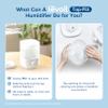 LEVOIT Top Fill Humidifiers for Bedroom, 2.5L Tank for Large Room, Easy to Fill & Clean, 28dB Quiet Cool Mist Air Humidifier for Home Baby Nursery & Plants, Auto Shut-off for Safety, 25H view 3