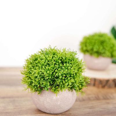Tableclothsfactory 2 Pack | Potted Artificial Boxwood Topiary, Faux Plants Greenery in Gray Planter Pots - 5"