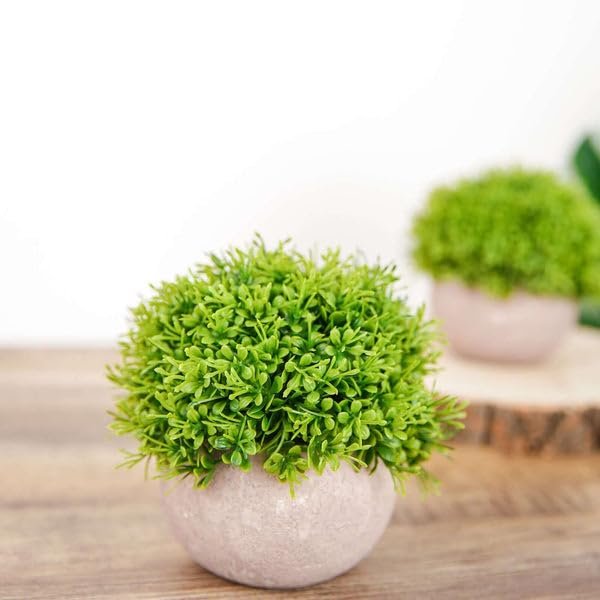 Tableclothsfactory 2 Pack | Potted Artificial Boxwood Topiary, Faux Plants Greenery in Gray Planter Pots - 5"