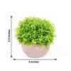 Tableclothsfactory 2 Pack | Potted Artificial Boxwood Topiary, Faux Plants Greenery in Gray Planter Pots - 5" view 3