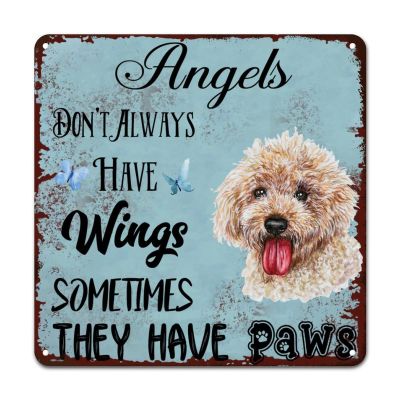 ArogGeld Angels Don't Always Have Wings Sometimes They Have Paws Tin Sign Golden Retriever Dog Metal Tin Sign Sympathy 10x10in Rustic Metal Wall Decor for Office Home Classroom Man Cave