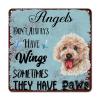 ArogGeld Angels Don't Always Have Wings Sometimes They Have Paws Tin Sign Golden Retriever Dog Metal Tin Sign Sympathy 10x10in Rustic Metal Wall Decor for Office Home Classroom Man Cave view 1