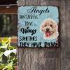 ArogGeld Angels Don't Always Have Wings Sometimes They Have Paws Tin Sign Golden Retriever Dog Metal Tin Sign Sympathy 10x10in Rustic Metal Wall Decor for Office Home Classroom Man Cave view 2