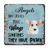 ArogGeld Angels Don't Always Have Wings Sometimes They Have Paws Tin Sign Great Dane Dog Metal Wall Art in Loving Memory 10x10in Modern Poster Art Design for Bar Pub Home Cafes Garage Kitchen view 1