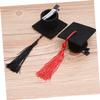 jojofuny 2pcs Graduation Party Hair Clips Mini Doctoral Hat Hairpins Tassel Decor for Graduation Ceremony Fun Hair Props for Celebrating Grads for Theme Parties and Special Occasions view 4