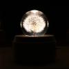SUNESA Music Box Dandelion Ornament Crystal Ball Music Box Gifts for Birthday Christmas Wedding Valentine Mothers Day Christmas Music Box view 3