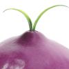 Milisten Simulation Onion Artificial Vegetable Model 3.14X2.75X2.75In Foam Photography Prop for Home Kindergarten and Educational Use view 4