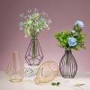 Metal Frame Vase Geometric Glass Flower Vase, Lantern Shape Glass Test Tube Vase, Modern Creative Clear Tube Glass Planter Terrariums with Geometric Metal Stand for Decor Office Home (Golden A) view 4