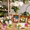 Kigeli Set of 45 Soap Favors DIY Bridal Shower Favors Bulk Wedding Soap Gifts Baby Shower Scented Soap Favors Natural Handmade Soap Bars for Wedding Bridal Shower (Green, Yellow, Red, Flower) view 4