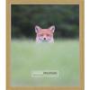 Poster Palooza 18x26 Traditional Gold Complete Wood Picture Frame with UV Acrylic Plexiglass, Foam Board Backing & Hardware Included view 3
