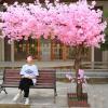 Artificial Cherry Blossom Trees - Large Blossom Tree - Light Pink - Real Wood Stems and Lifelike Leaves Replica Artificial Plant Extended 1.8 * 1.2m view 1