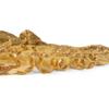 CVL Sequin Gold Vine Tablecloth Rectangle Table Overlay 90"X132" for Wedding, Party, Baby or Bridal Shower, Holiday, Birthday Decoration view 4
