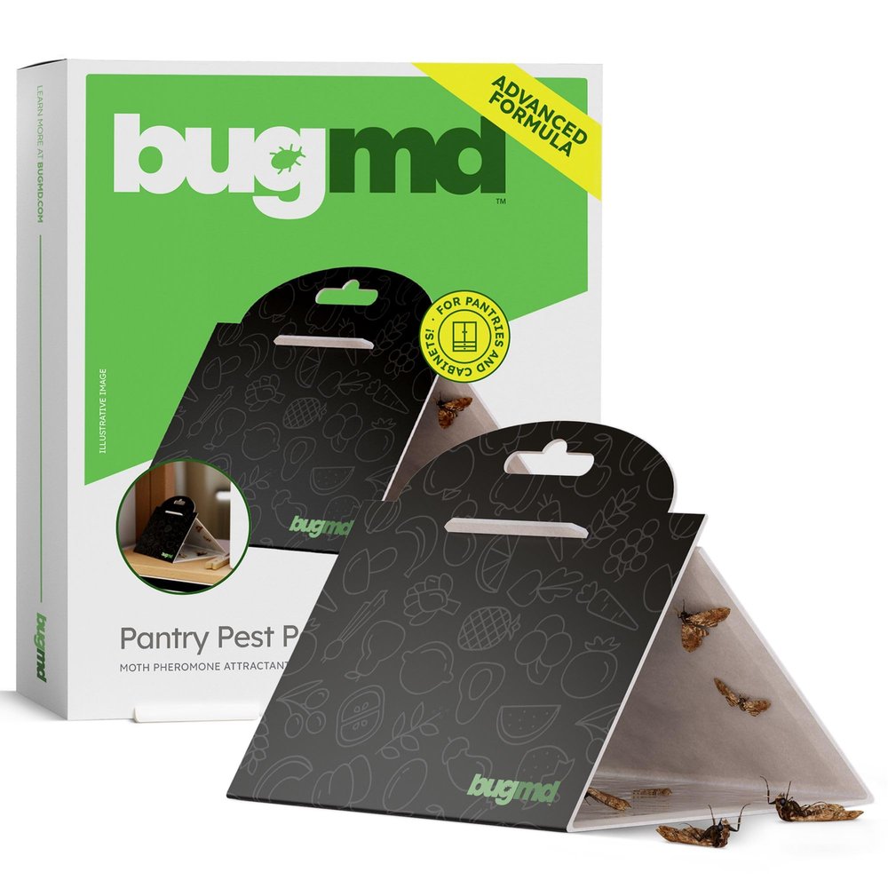 BugMD Pantry Moth Traps (6-Pack)  Pheromone-Based Sticky Glue Traps, Non-Toxic, Kills Indian Meal Moths  Kitchen & Food-Storage Safe - Black