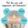 Moonlight Makers Happy Birthday Candle, Go Shawty Its Sherbert Day, Cute Birthday Gifts for Friends, Funny Candle for Birthdays, Vanilla Bean Soy Candle, 40+ Hour Burn Time, 9oz Amber Glass Jar view 4