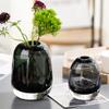 TATSEN Moisture Flower Vase Round Thickened Glass Vase Hydroponic Green Plant Crafts Decorative Ornaments Vase Clear Vase Glass Vases for Centerpieces Vases for Flowers view 4