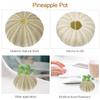 Beavorty 4Pcs sea Urchin Shells for Craft air Plant Tillandsia planters air Fern Display Container Natural sea Shell Purple sea Urchin Shells Nautical Beach Miniature Tree Planter Seaside view 2