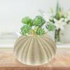 Beavorty 4Pcs sea Urchin Shells for Craft air Plant Tillandsia planters air Fern Display Container Natural sea Shell Purple sea Urchin Shells Nautical Beach Miniature Tree Planter Seaside view 3