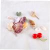 WOONEKY Seashell Craft Set Natural Seashells Ocean Decor Sea Decor for Wall Decorative Ornaments view 2