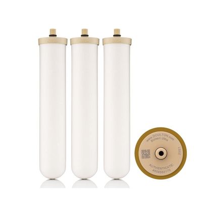 Doulton W9123050 10" Biotect Ultra Authentic Drinking Water Ceramic Replacement Candle Element Filter 2504 White NSF Certified M12 Thread