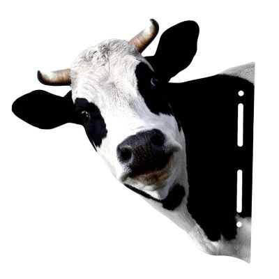 Qianly Animal Heads Metal Sculpture Realistic Art Statue Rustic Wall Mounted Animal Heads for Office Hotel Dining Room Door Ornament, Cow