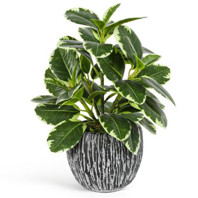 Artificial Plants Indoor Outdoor, Faux Variegated Oak Leaf Plant, Fake Potted Plants Artificial Decor for Coffee Table Desk Shelf, Faux Plants Indoor for Living Room Bathroom Bedroom Entryway Office
