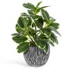 Artificial Plants Indoor Outdoor, Faux Variegated Oak Leaf Plant, Fake Potted Plants Artificial Decor for Coffee Table Desk Shelf, Faux Plants Indoor for Living Room Bathroom Bedroom Entryway Office view 1