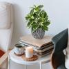 Artificial Plants Indoor Outdoor, Faux Variegated Oak Leaf Plant, Fake Potted Plants Artificial Decor for Coffee Table Desk Shelf, Faux Plants Indoor for Living Room Bathroom Bedroom Entryway Office view 2