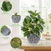 Artificial Plants Indoor Outdoor, Faux Variegated Oak Leaf Plant, Fake Potted Plants Artificial Decor for Coffee Table Desk Shelf, Faux Plants Indoor for Living Room Bathroom Bedroom Entryway Office view 4