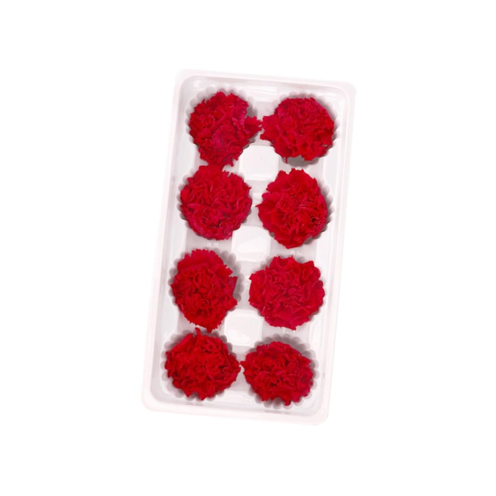 NOLITOY Romantic Fake Carnation Flowers Romantic Everlasting Dried Preserved Red Decorative Material Bath Soap