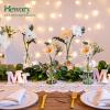 Glass Bubble Vases for Flowers, Hewory 2pcs Clear Unique Cute Single Flower Vase for Centerpieces, Funky Aesthetic Vase Skinny Bud Vase, Cool Groovy Decor for Home Living Room Bedroom Office Tabletop view 2