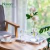 Glass Bubble Vases for Flowers, Hewory 2pcs Clear Unique Cute Single Flower Vase for Centerpieces, Funky Aesthetic Vase Skinny Bud Vase, Cool Groovy Decor for Home Living Room Bedroom Office Tabletop view 3