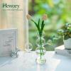 Glass Bubble Vases for Flowers, Hewory 2pcs Clear Unique Cute Single Flower Vase for Centerpieces, Funky Aesthetic Vase Skinny Bud Vase, Cool Groovy Decor for Home Living Room Bedroom Office Tabletop view 4
