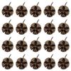 Queenbox 20pcs Dried Natural Cross Shape Fruit Shell, Random Small Decorative Vase Fillers for DIY Crafts, Home, Fall, Christmas view 1