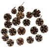 Queenbox 20pcs Dried Natural Cross Shape Fruit Shell, Random Small Decorative Vase Fillers for DIY Crafts, Home, Fall, Christmas view 2