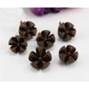Queenbox 20pcs Dried Natural Cross Shape Fruit Shell, Random Small Decorative Vase Fillers for DIY Crafts, Home, Fall, Christmas view 3