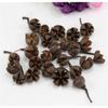 Queenbox 20pcs Dried Natural Cross Shape Fruit Shell, Random Small Decorative Vase Fillers for DIY Crafts, Home, Fall, Christmas view 4