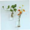 GANAZONO Hanging Glass Vase for Home Decor Creative Wall Planter for Hydroponics Water Planting Unique Design for Indoor Use Beautiful Flower Terrarium Container view 4