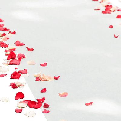 Aisle Runner Carpet, 2mm Wedding Runner Runway Carpet Rug White Walkway Runner Mat for Wedding Church Beach Premium Exhibition Event, Cuttable Polyester (Size : 1.2x10m)