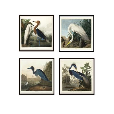 Paper Moon Media: Set of 4 Vintage Ephemera Audubon Heron Art Print Illustrations, Unframed Art Print Reproductions, John James Audubon Bird Art Prints, Beach House Art, Air bnb Art Prints, Farm House Art (Watercolor Paper, 11 x 14")
