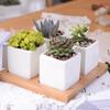 Splurg'd Studio Ceramic Square Flower Pot 4 Piece Set with Bamboo Tray view 1
