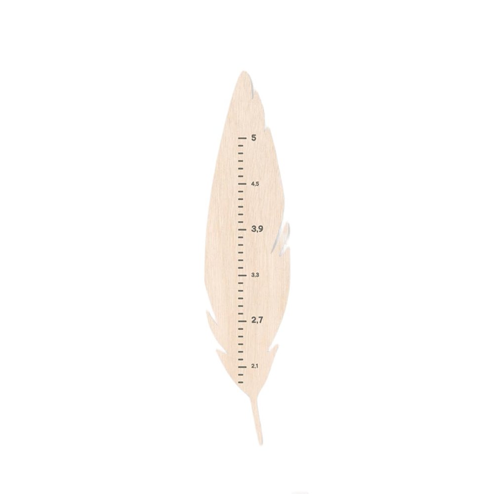 Dinosaur Growth Height Chart for Kids Boy Nursery Decor Wall Child Ruler Baby Shower, Gift 1st 2nd 3rd Birthday (Feather)