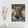 Baby Leopard Canvas Wall Art Print - Nursery Girl Decor Safari Jungle Animal Picture - Toddler Boy Room Little Kid Framed Painting (31'' x 20'' (80x50 cm)) view 2