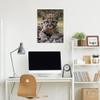 Baby Leopard Canvas Wall Art Print - Nursery Girl Decor Safari Jungle Animal Picture - Toddler Boy Room Little Kid Framed Painting (31'' x 20'' (80x50 cm)) view 3