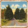 10 x 14 METAL SIGN - New York Postcard - Avenue of pines, Saratoga Springs, New York 1 - Vintage Rusty Look view 1