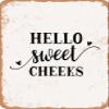 10 x 14 METAL SIGN - Hello Sweet Cheeks - 9 - Vintage Rusty Look view 1