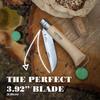 Opinel No. 10 Stainless Steel Corkscrew Wine and Cheese Folding Knife, Integrated Corkscrew + Bottle Opener, Beechwood Handle - Picnic Pocket Knife Made in France (Updated Version) view 3