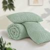 Andency Full Comforter Sets Sage Green, Boho Lightweight and Fluffy Bedding Set for Full Bed, 3 Pieces Tufted Farmhouse Design for All Seasons (79x90Inches, 1 Comforter and 2 Pillow Shams) view 3