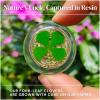 1 Pair Real Four Leaf Clover Pocket Coin - Angel Wings | Magic Coins, Lucky Charms & Shamrock Token | Guardian Angel Gifts, St. Patrick's Day & Sobriety (Gold & Silver) view 3