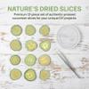 12pcs Real Dried Cucumber Slices Natural Pressed Cucumber Props Fruit Vegetables Model for Resin Art, DIY Crafts, Jewelry Making, Soap & Candle Decor Green - 1.34inch view 4